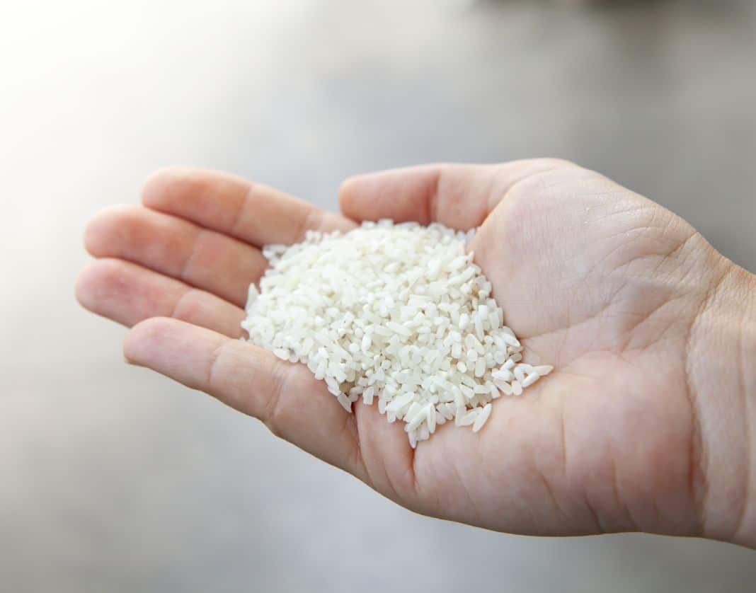 Primo piano di una mano destra femminile, dalla carnagione bianca e rivolta verso sinistra, contenente un piccolo quantitativo di riso biologico.